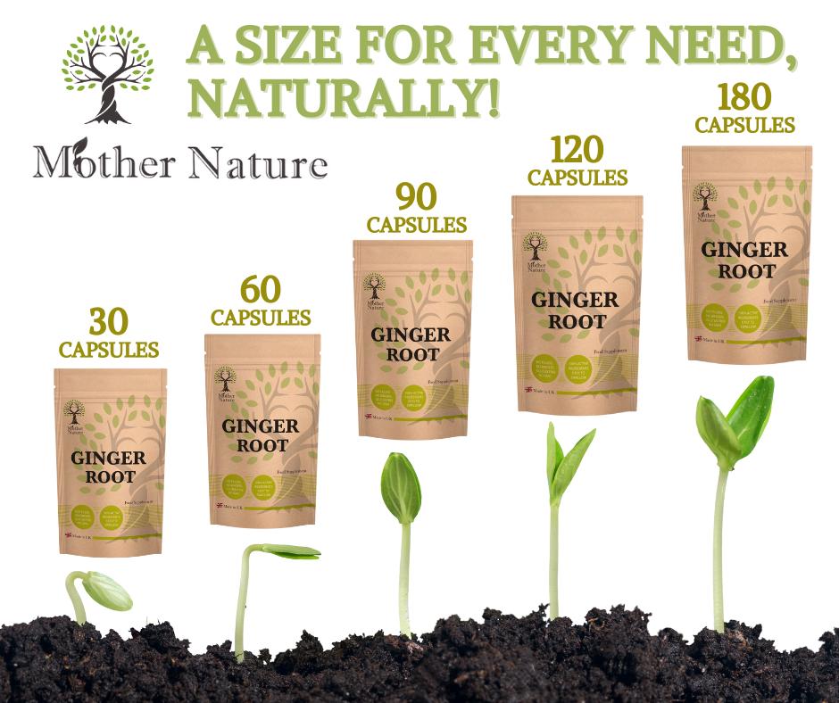 Elevate Your Health with Our High-Potency All-in-One Vegan Multivitamin Capsules - Clean, Eco-Friendly Supplement for Optimal Wellness